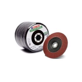 Bay-Tec Flap Disk 10'lu Zımpara