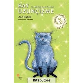 BAY UZUNÇİZME ÜÇ BÜYÜLÜ KEDI ÖYKÜSÜ - ANN RUFFEL