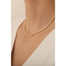Bayar Gold 14 Ayar Altın Orta Kalın Balık Sırtı Kadın Kolye