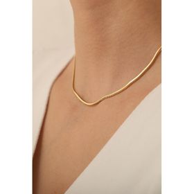 Bayar Gold 14 Ayar Altın Orta Kalın Balık Sırtı Kadın Kolye