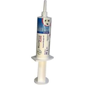 Bayer 20 gr Maxforce Platin Hamam Böceği Jeli