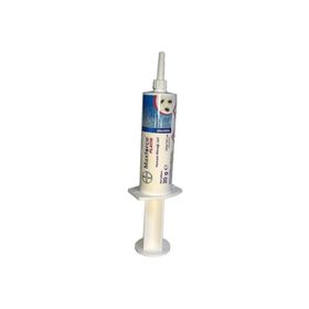 Bayer 20 gr Maxforce Platin Hamam Böceği Jeli