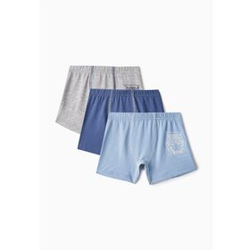 Baykar 3106 Kaplan Baskılı 3'lü Paket Mavi Erkek Çocuk Boxer