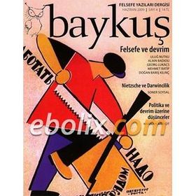 Baykuş Felsefe Yazıları Dergisi Sayı: 4 - Haziran 2009 - Kolektif