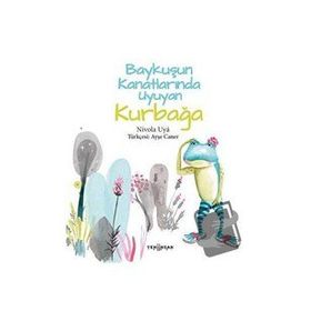 Baykuşun Kanatlarında Uyuyan Kurbağa - Nivola Uya