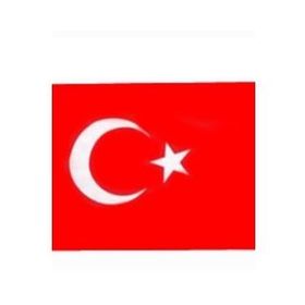 Bayrakçı 70x105 cm Türk Bayrağı