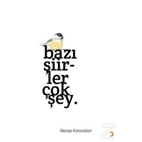 Bazı Şiirler Çok Şey - Recep Karaaslan
