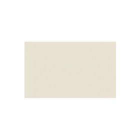 BD Backgrounds 110 Ermin Gray Stüdyo Fon