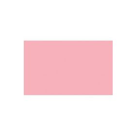 BD Backgrounds 117 Pastel Pink Stüdyo Fon