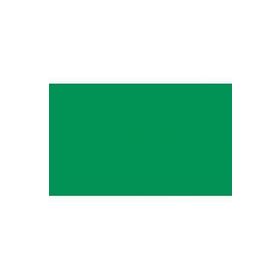 BD Backgrounds 162 Foto Green Stüdyo Fon