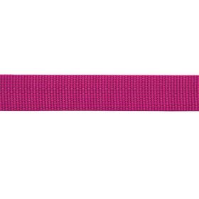 Beal Flat Tape 26 mm X 100 m Perlon Bant