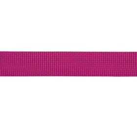 Beal Flat Tape 26 mm X 100 m Perlon Bant