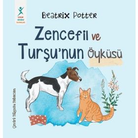 Beatrix Potter Zencefil ve Turşu’nun Öyküsü
