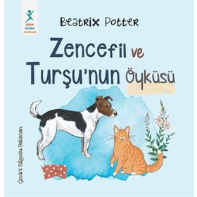 Beatrix Potter Zencefil ve Turşu’nun Öyküsü