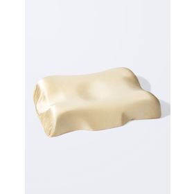 Beauty Pillow Bej Renk 50x70 cm %100 İpek Yastık Kılıfı + Beauty Pillow Yastık