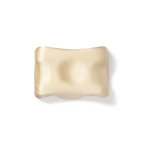 Beauty Pillow Bej Renk 50x70 cm %100 İpek Yastık Kılıfı