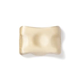 Beauty Pillow Bej Renk 50x70 cm %100 İpek Yastık Kılıfı