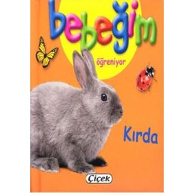 Bebeğim Öğreniyor - Kırda - kollektif