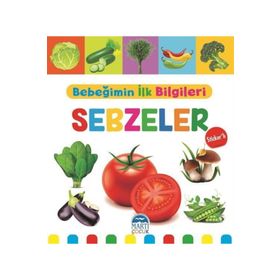 Bebeğimin İlk Bilgileri Taşıtlar Mine Sultan Ünver