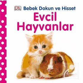 Bebek Dokun ve Hisset Evcil Hayvanlar - Dawn Sirett