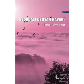 Bedduası Uyuyan Havari - İsmail Aykanat