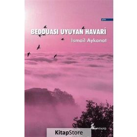 Bedduası Uyuyan Havari - İsmail Aykanat