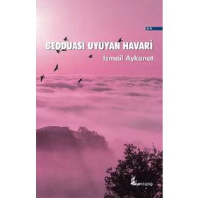 Bedduası Uyuyan Havari - İsmail Aykanat