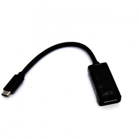 Beek BC-DSP-ADP-USBC-DP-UHD60 Tip C Siyah USB Type-C To Display Port Dönüşütürücü