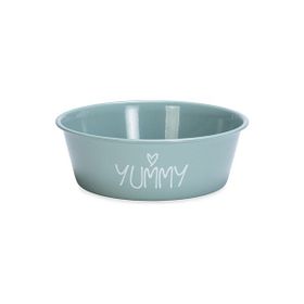 Beeztees 13 cm 470 ml Turkuaz Paslanmaz Çelik Kaymaz Taban Yavru Köpek Mama Su Kabı