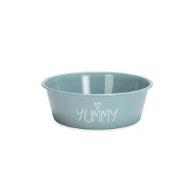 Beeztees 13 cm 470 ml Turkuaz Paslanmaz Çelik Kaymaz Taban Yavru Köpek Mama Su Kabı