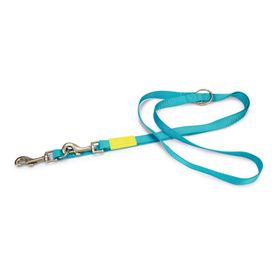 Beeztees 200 cm 20 mm Turkuaz Köpek Gezdirme Kayışı