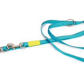 Beeztees 200 cm 20 mm Turkuaz Köpek Gezdirme Kayışı
