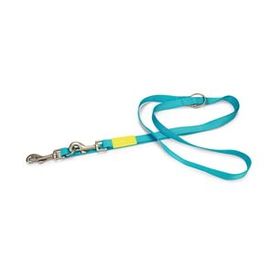 Beeztees 200 cm 20 mm Turkuaz Köpek Gezdirme Kayışı