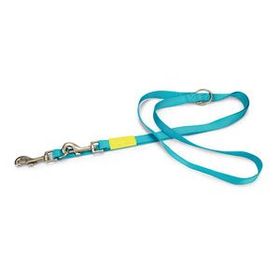Beeztees 200 cm 20 mm Turkuaz Köpek Gezdirme Kayışı