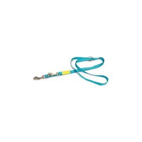 Beeztees 200 cm 20 mm Turkuaz Köpek Gezdirme Kayışı