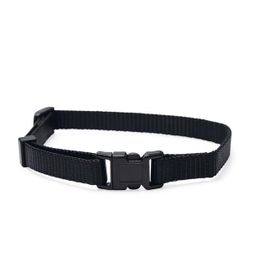 Beeztees 22-35 cm 10 mm Çeşitli Renklerde Yavru Köpek Boyun Tasması