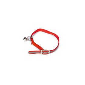 Beeztees 24.5-29.5 cm Fosforlu Kırmızı Kedi Boyun Tasması