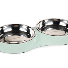 Beeztees 35x18x3 cm 2x420 ml 2'li Mint Paslanmaz Çelik Kedi Mama ve Su Kabı