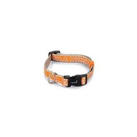 Beeztees Açık Gri Turuncu 26-40 cm Köpek Boyun Tasması