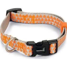 Beeztees Açık Gri Turuncu 26-40 cm Köpek Boyun Tasması