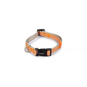 Beeztees Açık Gri Turuncu 35-50 cm Köpek Boyun Tasması