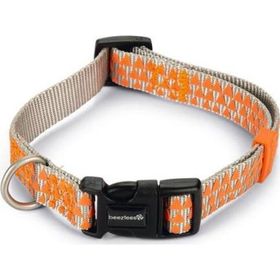 Beeztees Açık Gri Turuncu 35-50 cm Köpek Boyun Tasması