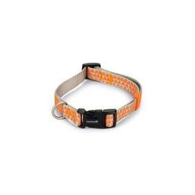 Beeztees Açık Gri Turuncu 35-50 cm Köpek Boyun Tasması