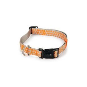 Beeztees Açık Gri Turuncu 48-70 cm Köpek Boyun Tasması