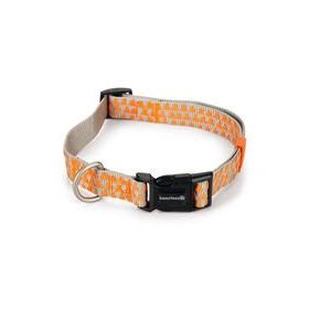 Beeztees Açık Gri Turuncu 48-70 cm Köpek Boyun Tasması