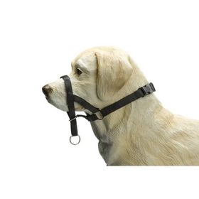 Beeztees Baş Kontrollü 28-35 cm Siyah Köpek Eğitim Tasması