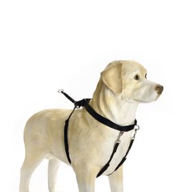 Beeztees Gentle Walker 80 cm L Köpek Yürüyüş Eğitim ve Düzeltme Tasması