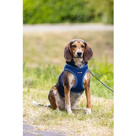 Beeztees Neopren Mavi M 41-46 cm Köpek Göğüs Tasması