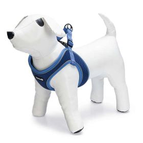 Beeztees Neopren Mavi XS 30-35 cm Köpek Göğüs Tasması