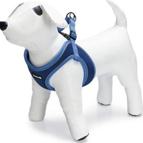 Beeztees Neopren Mavi XS 30-35 cm Köpek Göğüs Tasması